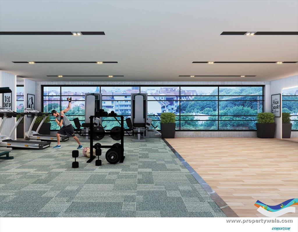 Project - Gymnasium