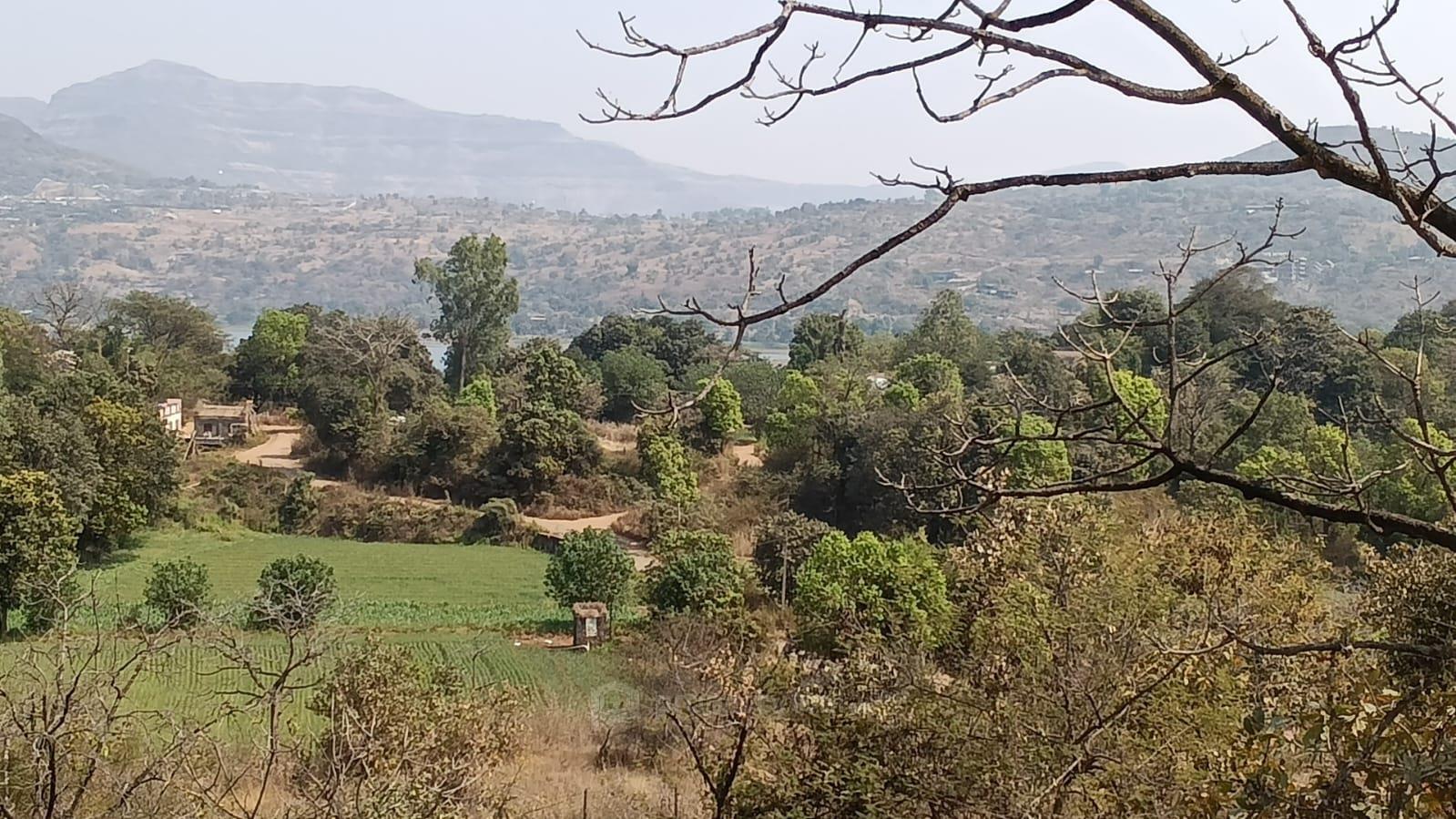 plot view
