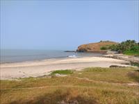 11 Acres Sea View Land For Sale In Shriwardhan