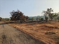 Agricultural Plot / Land for sale in Tala, Raigad