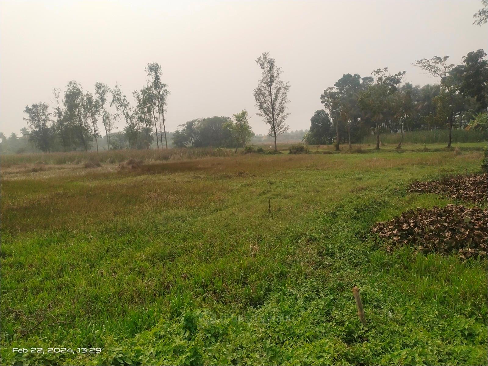 plot view