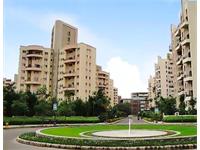 1 Bedroom Apartment / Flat for rent in Magarpatta, Pune