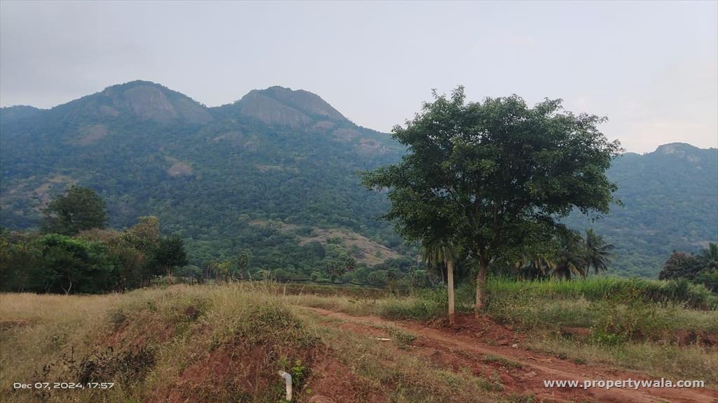 land
