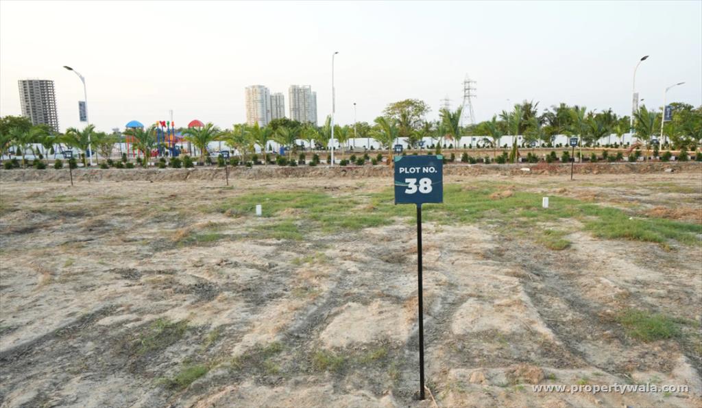 Plot View