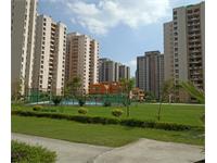 2 BHK SEMI FURNISHED FLAT WITH SUN FACING FOR RENT IN JAYPEE KOSMOS SECTOR 134 NOIDA