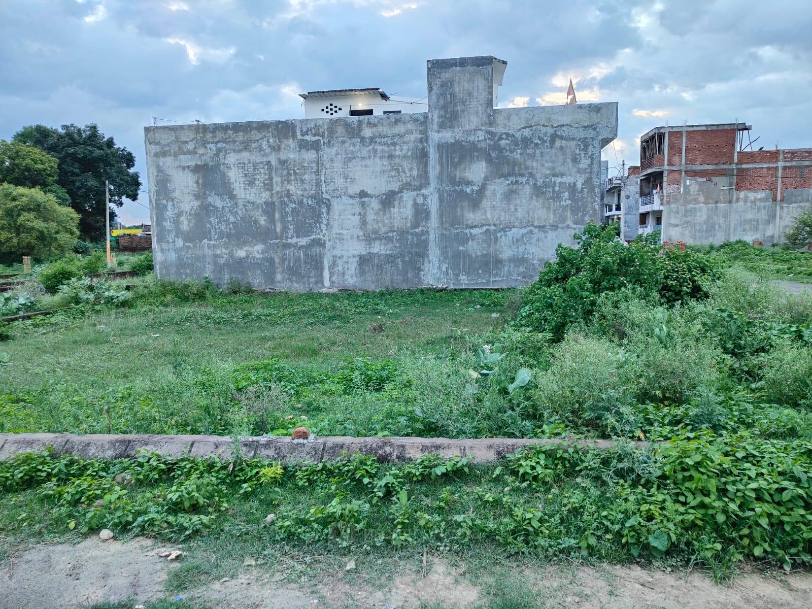Side View