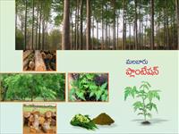 Be a millionaire in few years investing in farm lands in kothavalsah Vizag