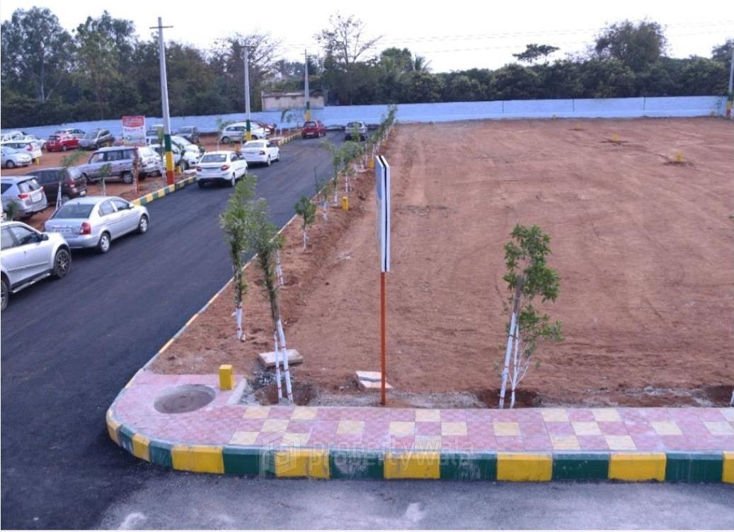 Project - Aerial View