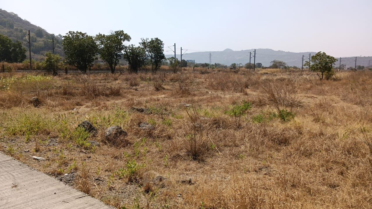 plot view