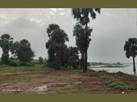 Agricultural Plot / Land for sale in Walayar, Palakkad