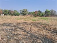 Agricultural Plot / Land for sale in Karjat, Raigad
