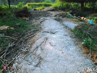 Agricultural Land for sale in Vazhapadi, Salem