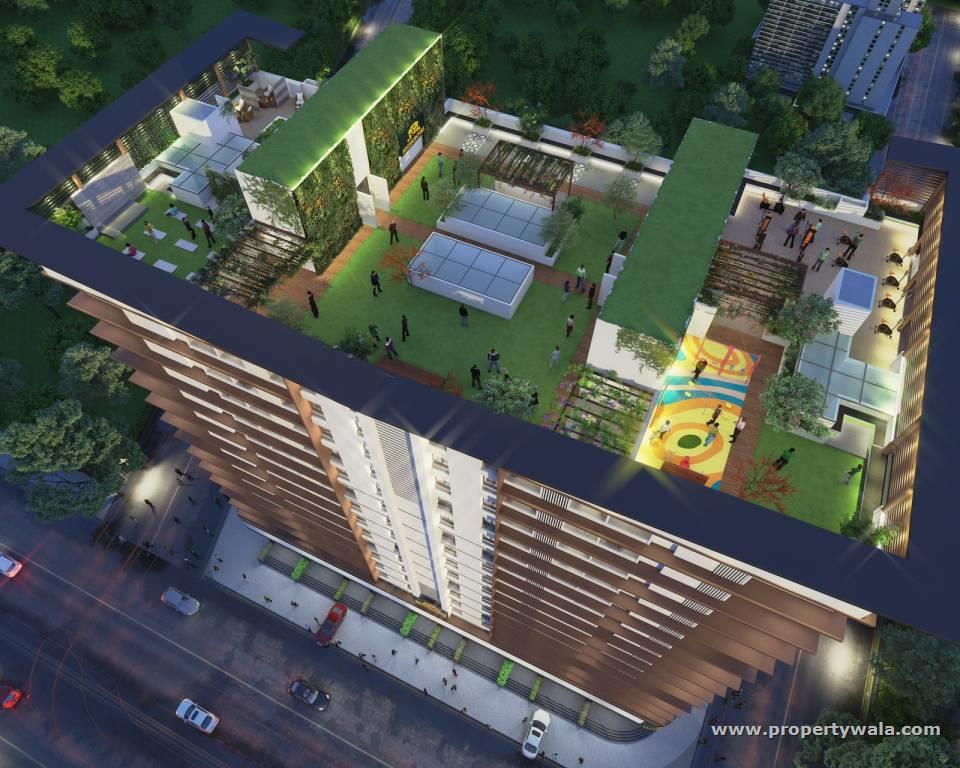 Rooftop Amenities