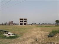Land for sale in Sunny Enclave, Sector 123, Mohali