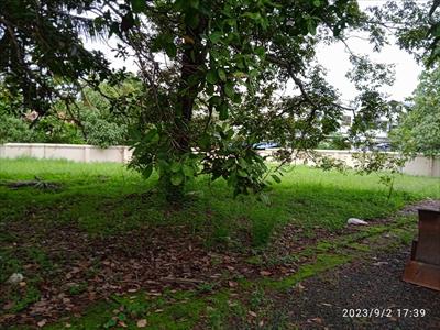 Residential Land for sale in Palarivattom, Ernakulam