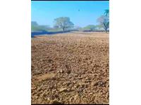 Agricultural Plot / Land for sale in Dabok, Udaipur