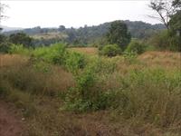 Land in karjat village kothimbe 18 acres land