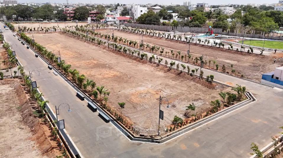 Plot View