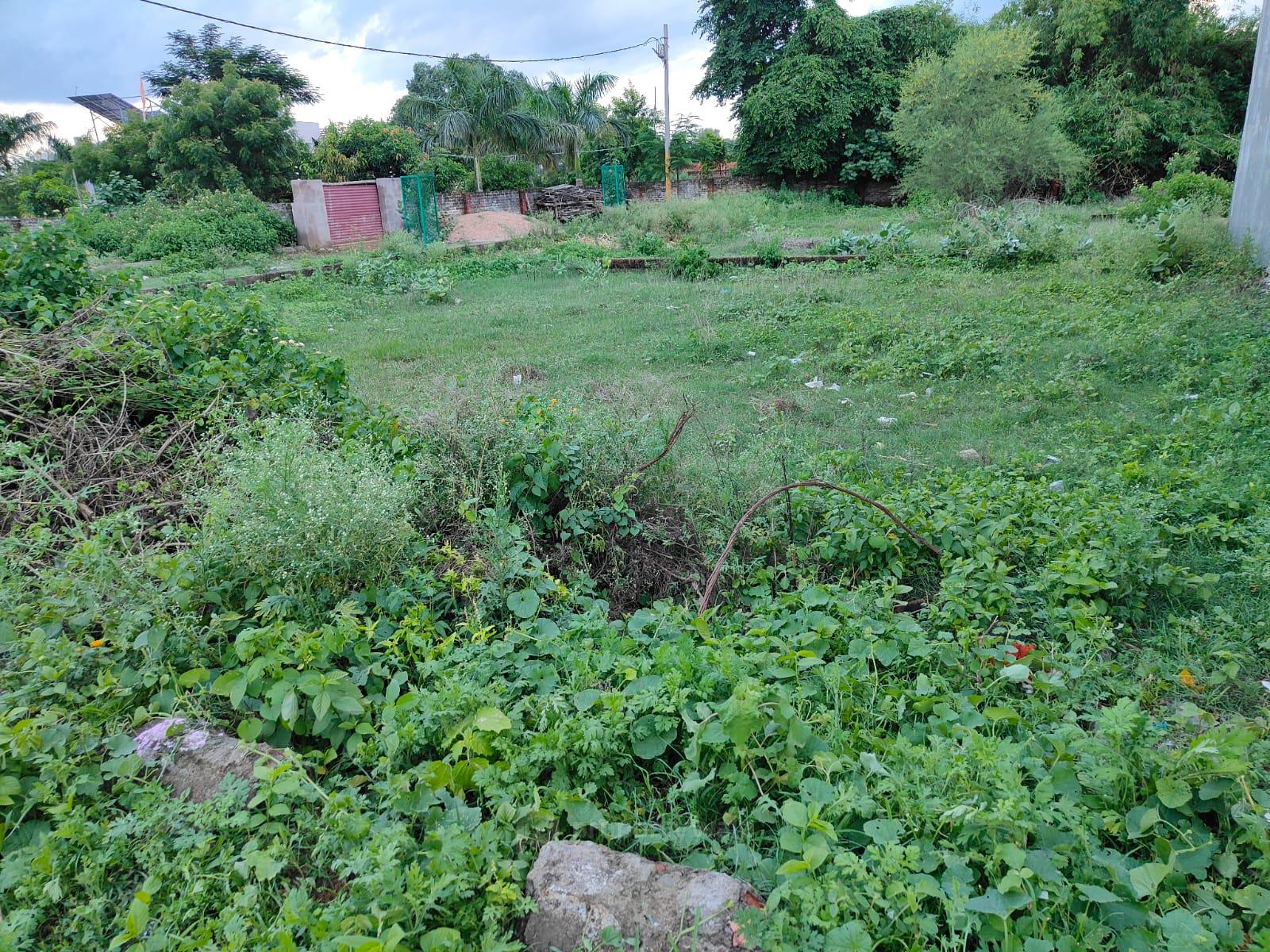 PLOT