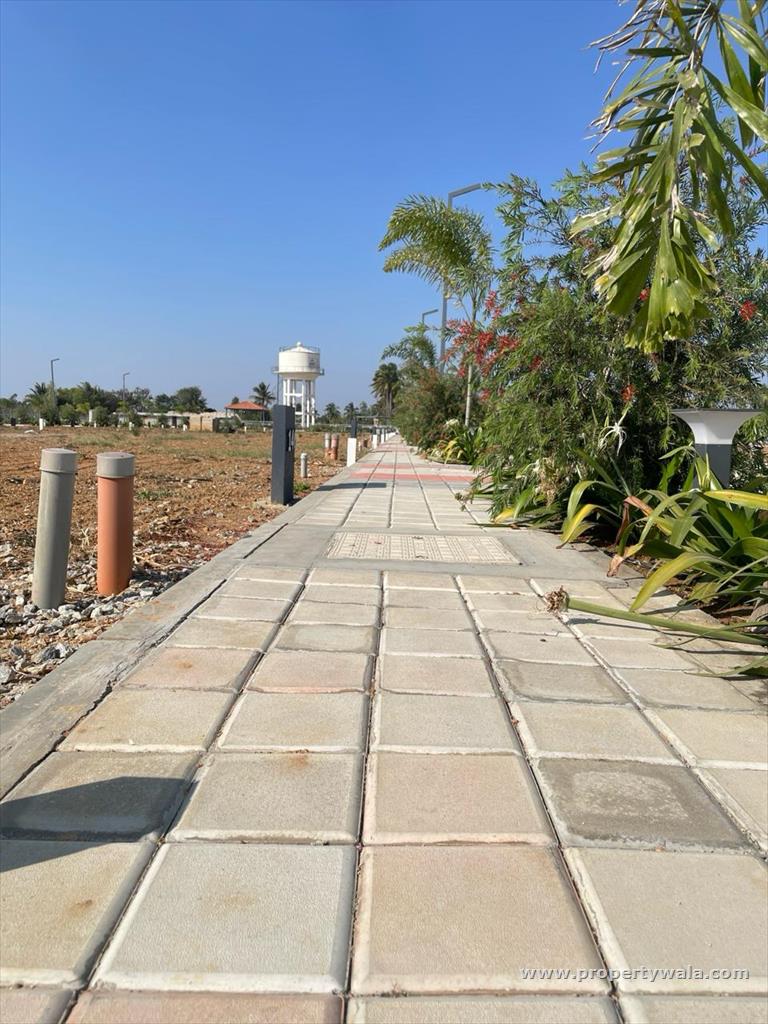 Project - Internal Road View