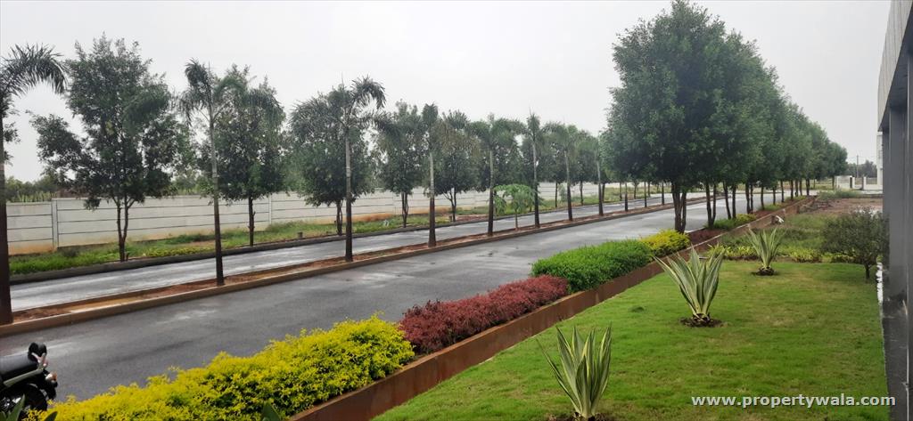plot area
