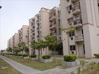 3 Bedroom Flat for sale in SARE Green ParC-II, Sector-92, Gurgaon