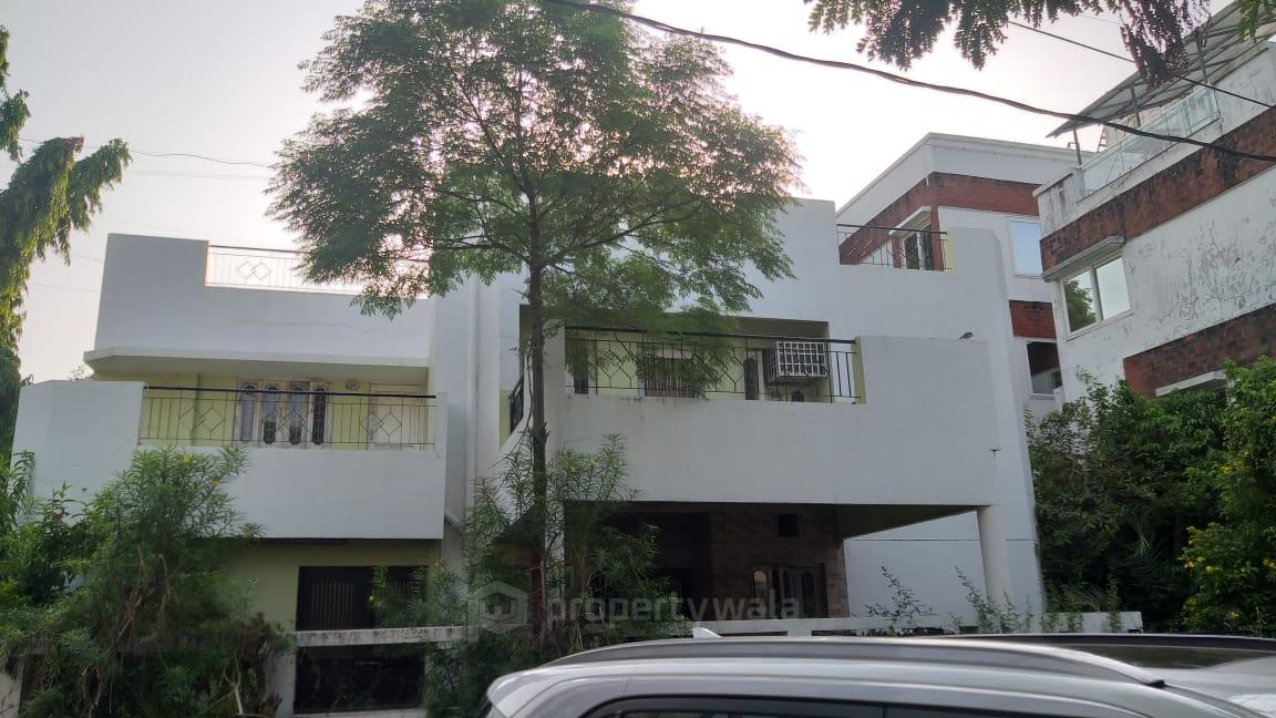 Front View