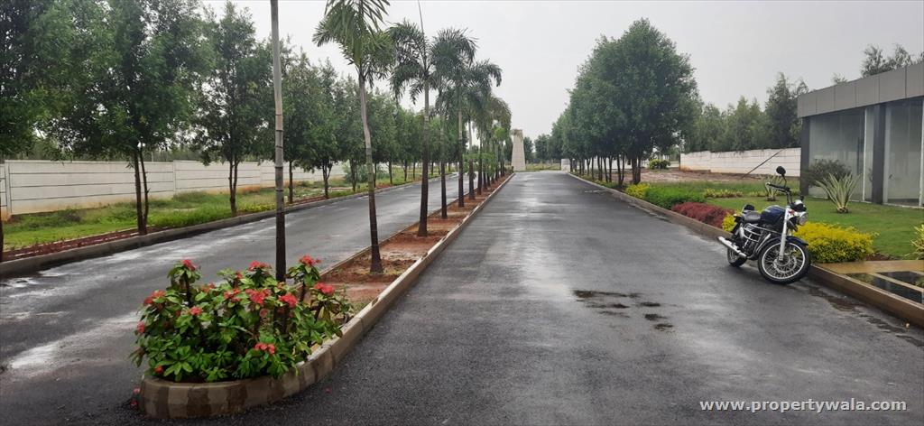 plot area