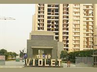Avilable for sale 2bhk 3bhk 4bhk in Tulip Violet sector-69 gurgaon