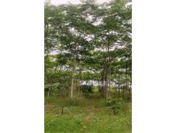 Agricultural Plot / Land for sale in Jecherla, Hyderabad