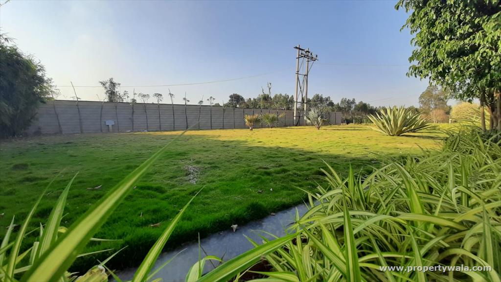 plot area