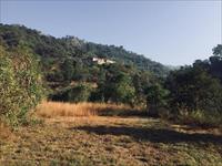 71 Bigha 19 Biswa land with 10 Rooms Farm house for sale near Ramshehar Nalagarh Himachal Pradesh