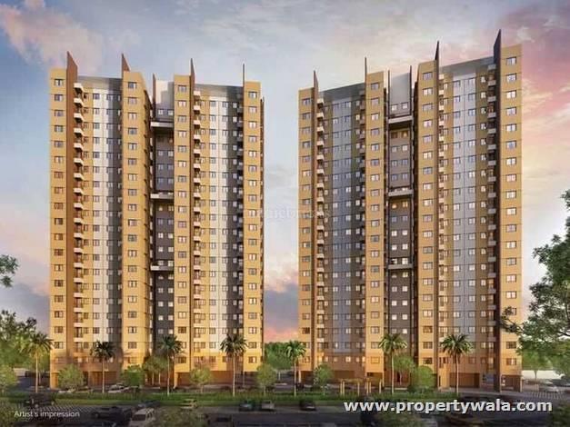 Project - Elevation