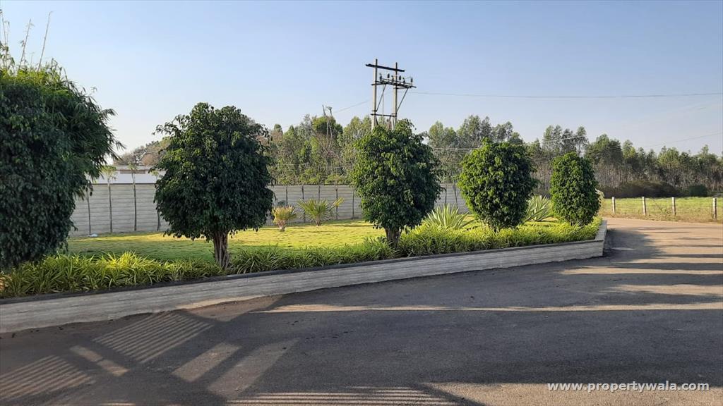 plot area