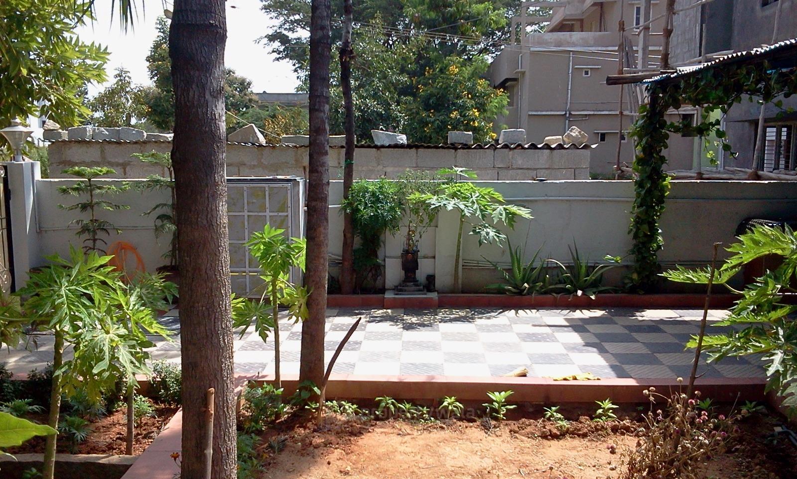 Side View
