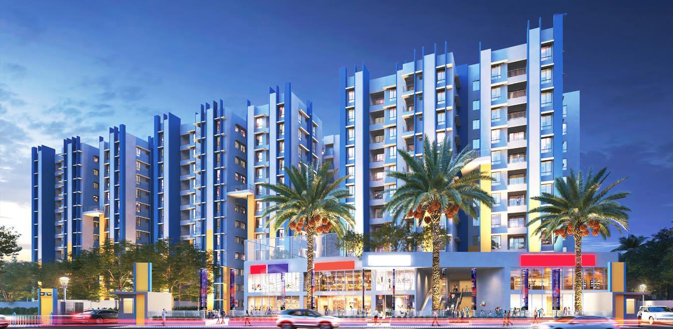 Project - Aerial View