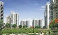 3 Bedroom Flat for sale in Maxblis White House, Sector 75, Noida