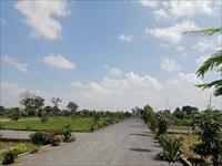 Diverted plot for sale near naya raipur mantralay back site location