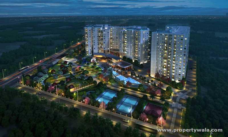 Night View