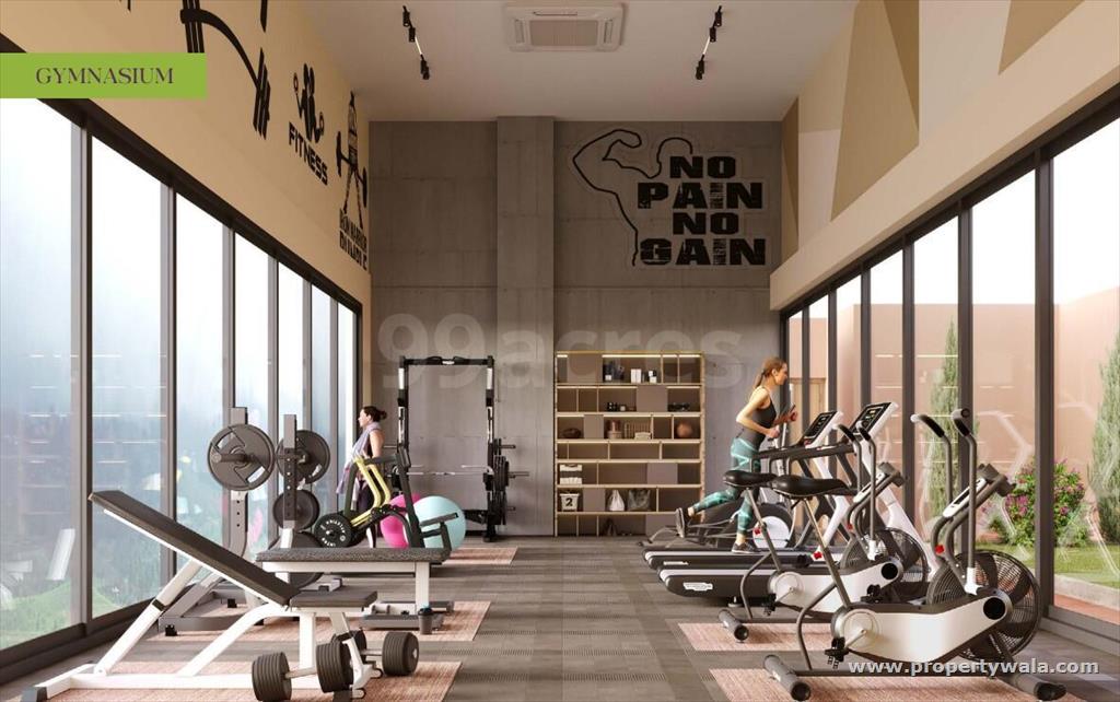 Gymnasium