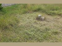 Residential Plot / Land for sale in Muthanallur, Bangalore