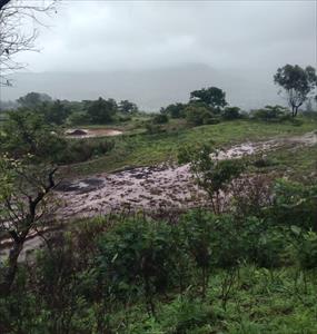 Agricultural Land for sale in Mulshi, Pune
