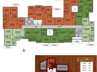 ELM Floor Plan