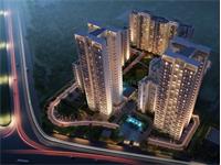 Tulip Yellow Ultra Luxury 3 BHk In sector 69 Gurgaon