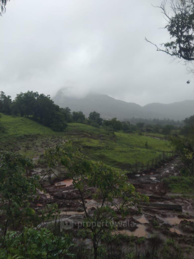 plot view