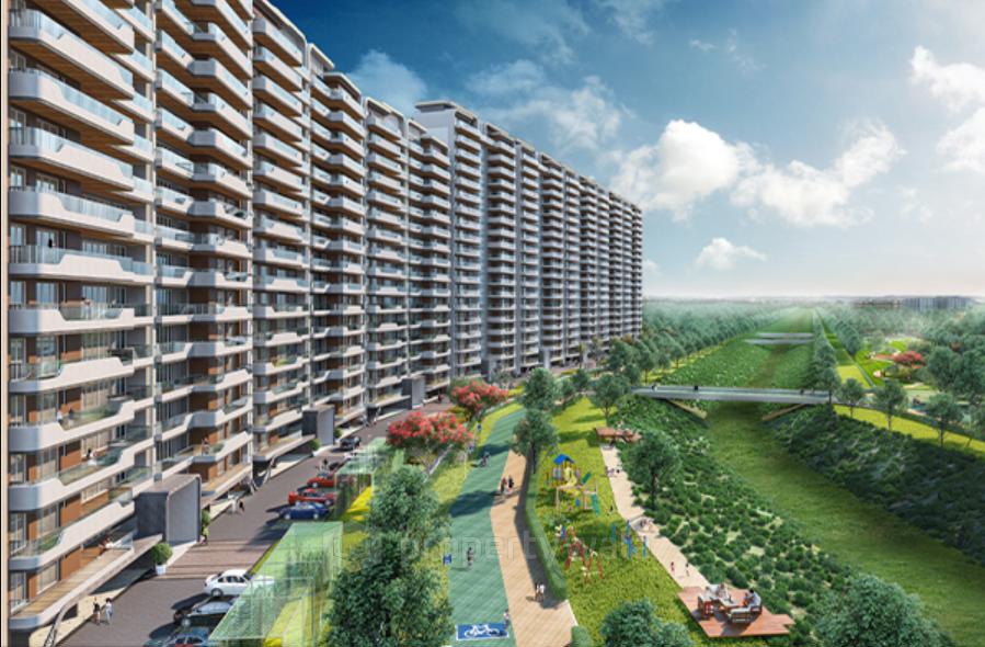 Project - Aerial View