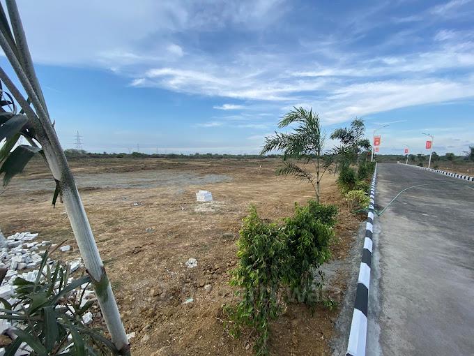 Road View