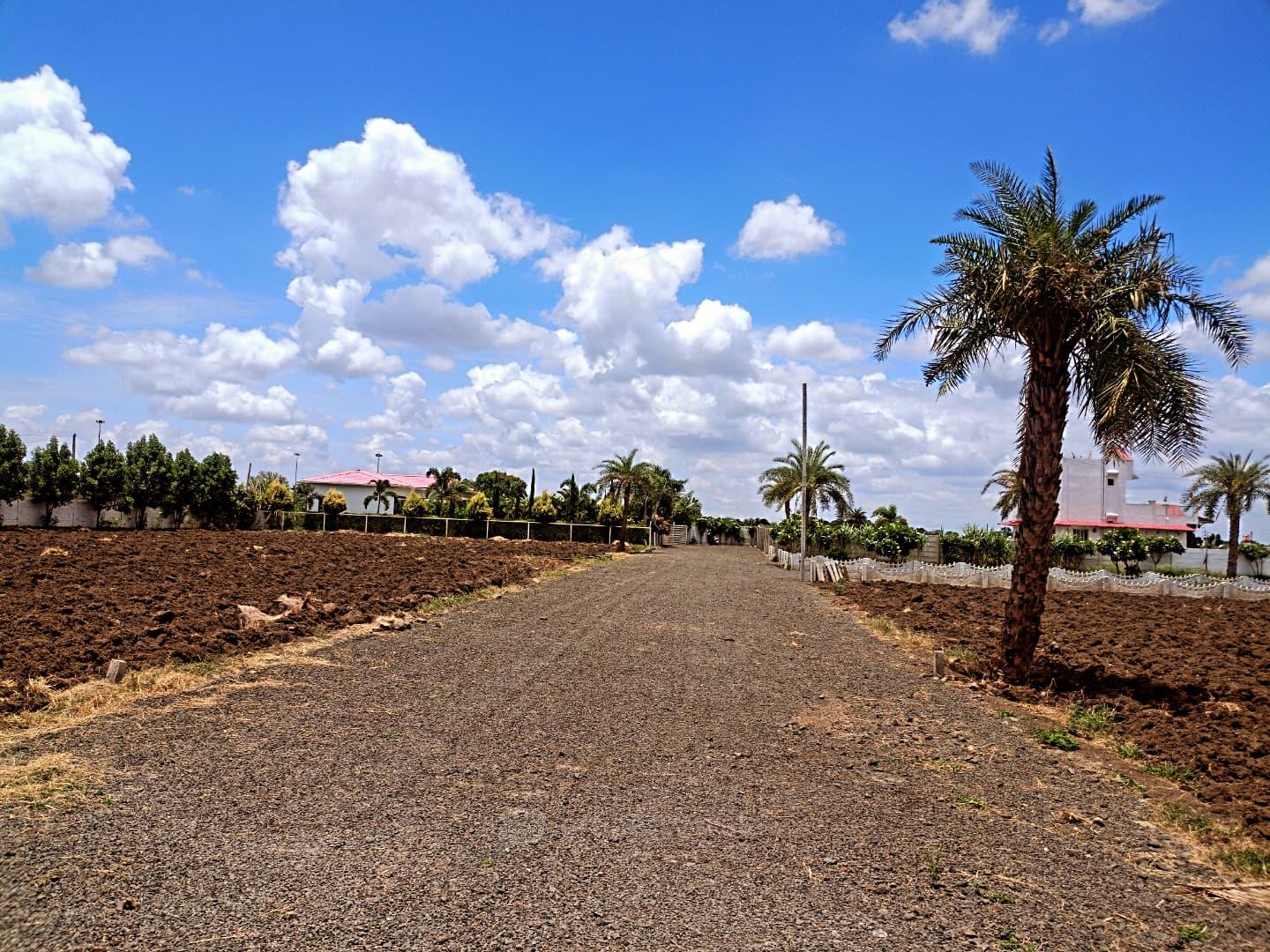 Wide Road