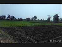 Agriculture Land Near Samriddhi Layout Hingna