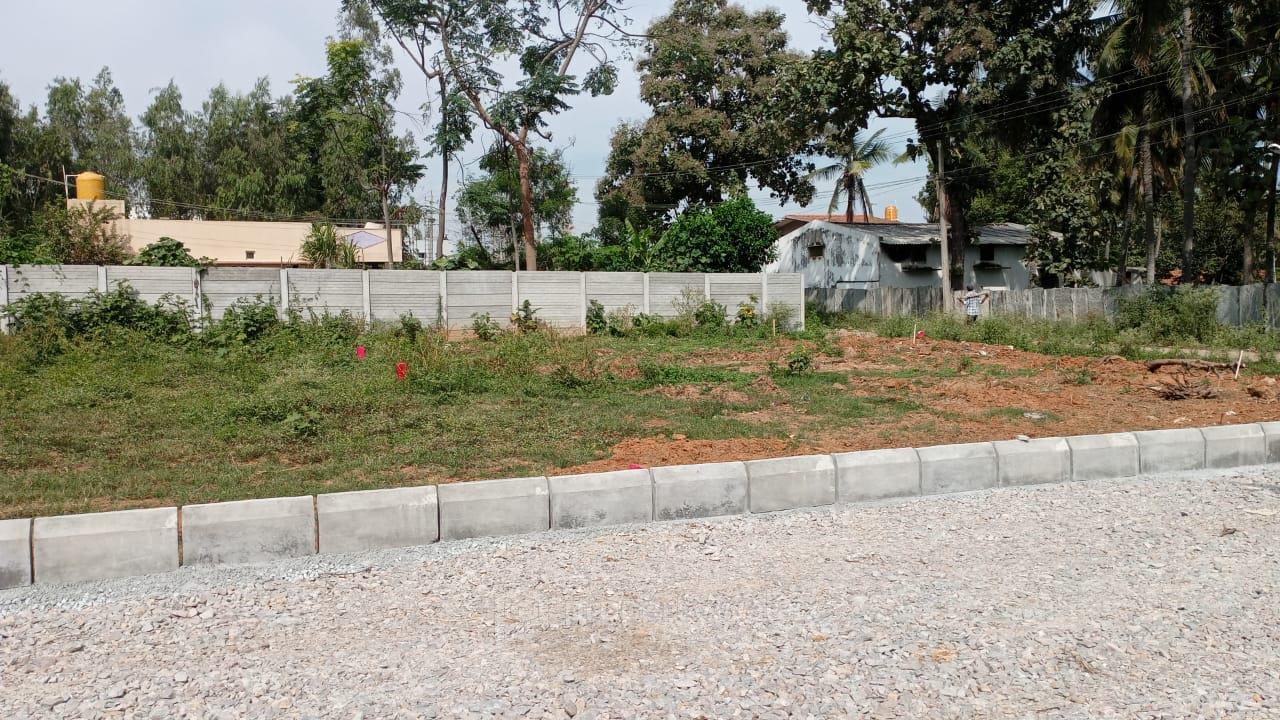Plot View